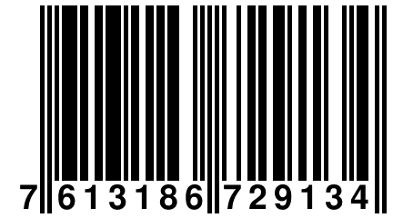 7 613186 729134