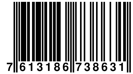 7 613186 738631