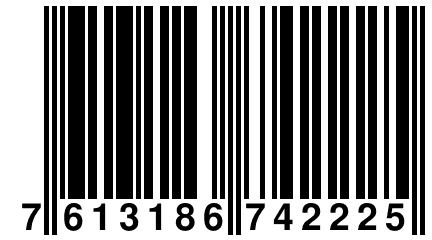 7 613186 742225