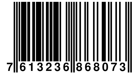 7 613236 868073