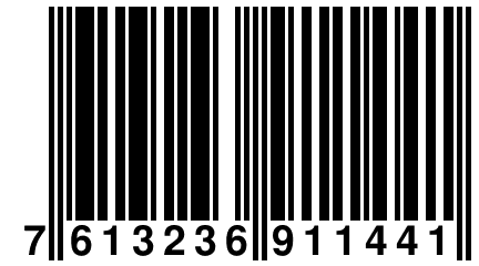 7 613236 911441