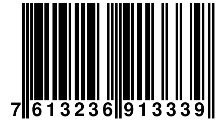 7 613236 913339