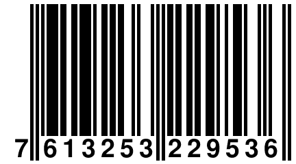 7 613253 229536