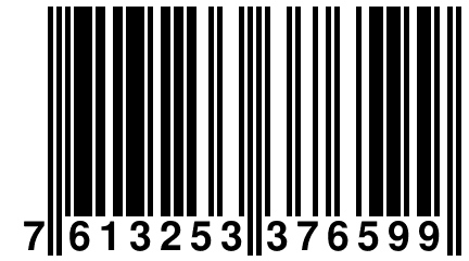 7 613253 376599