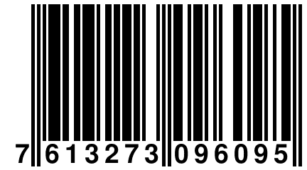 7 613273 096095