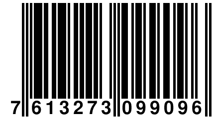 7 613273 099096