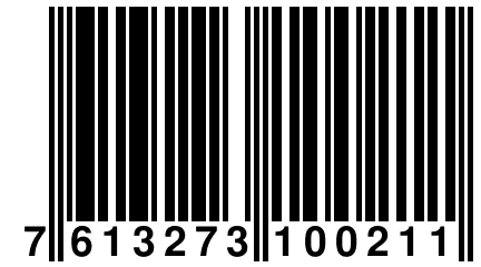 7 613273 100211