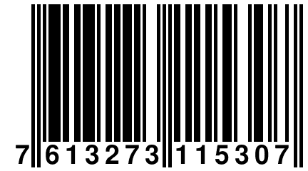 7 613273 115307