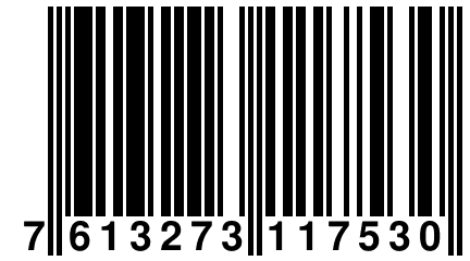 7 613273 117530