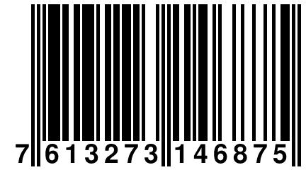 7 613273 146875