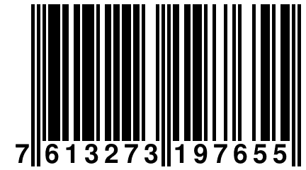 7 613273 197655