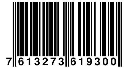 7 613273 619300