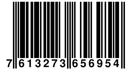 7 613273 656954