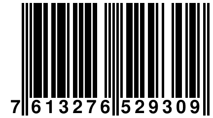 7 613276 529309