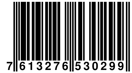 7 613276 530299