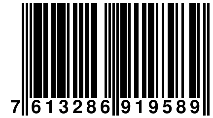 7 613286 919589