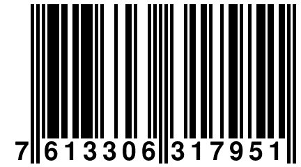 7 613306 317951