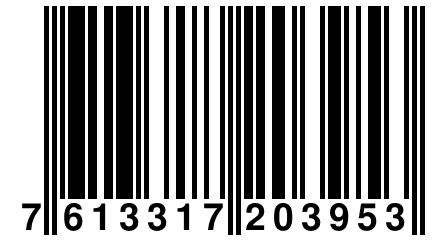 7 613317 203953