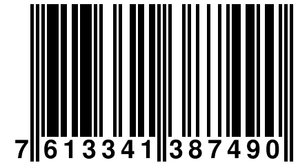 7 613341 387490