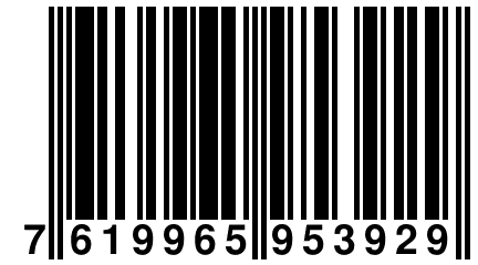 7 619965 953929