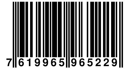 7 619965 965229