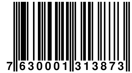 7 630001 313873