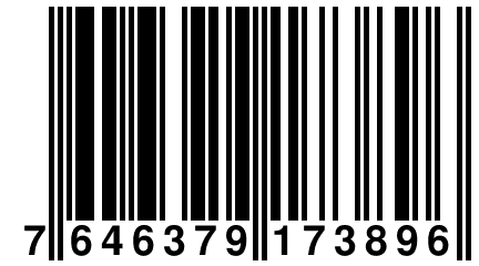 7 646379 173896