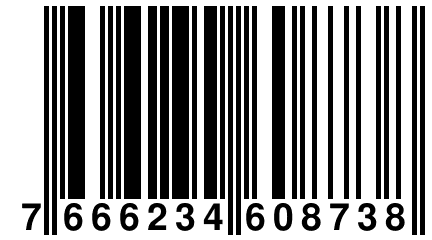 7 666234 608738