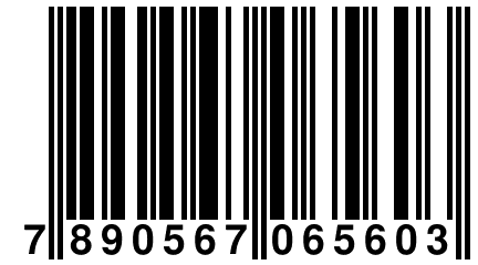 7 890567 065603