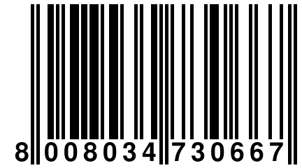 8 008034 730667