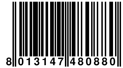 8 013147 480880