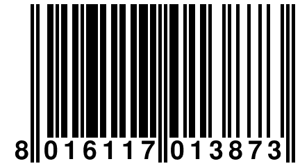 8 016117 013873