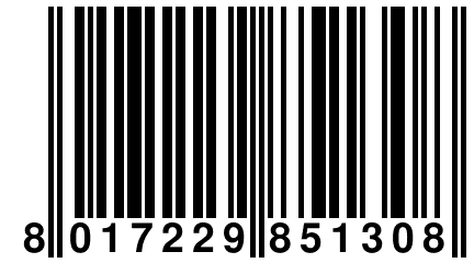 8 017229 851308