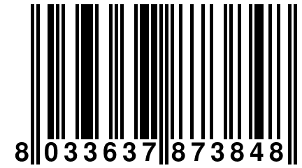 8 033637 873848