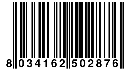 8 034162 502876