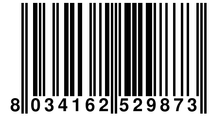 8 034162 529873