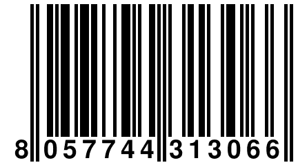 8 057744 313066