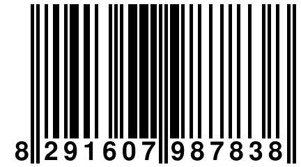 8 291607 987838