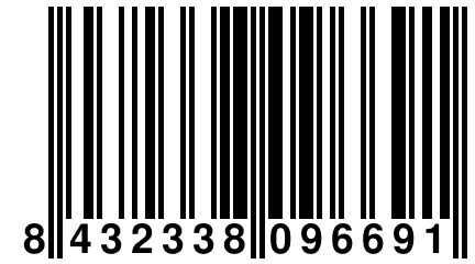 8 432338 096691