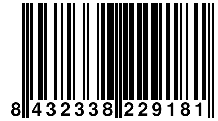 8 432338 229181