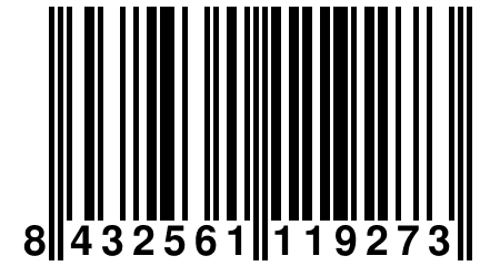 8 432561 119273