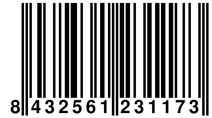 8 432561 231173