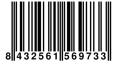 8 432561 569733