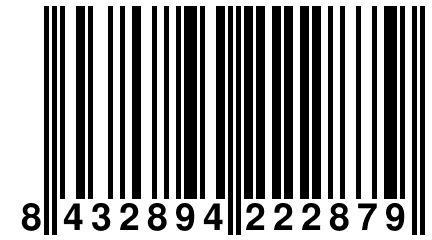 8 432894 222879