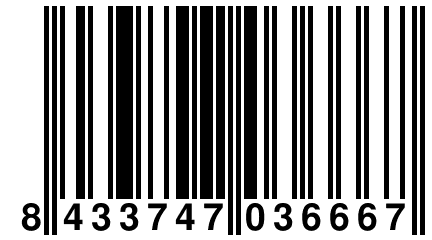 8 433747 036667