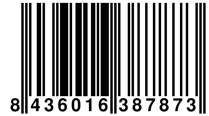 8 436016 387873