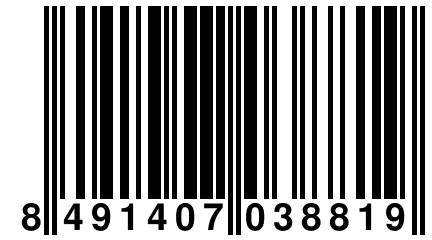 8 491407 038819