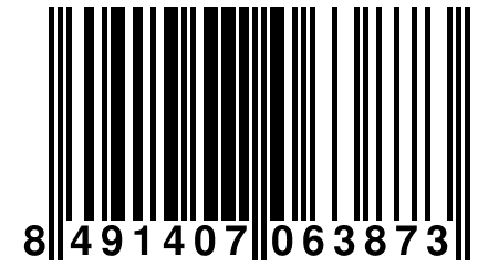 8 491407 063873