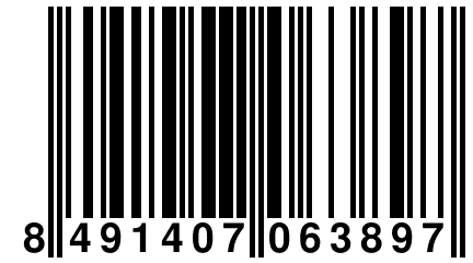 8 491407 063897