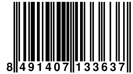 8 491407 133637